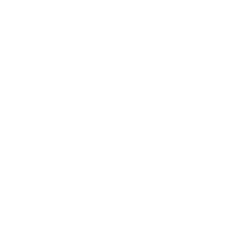 NTNU